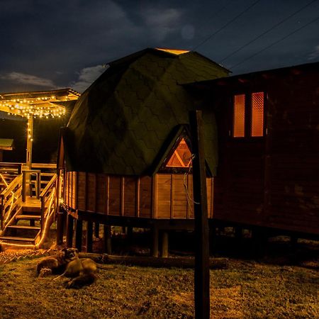 Los Nopales Glamping Sáchica Exterior foto