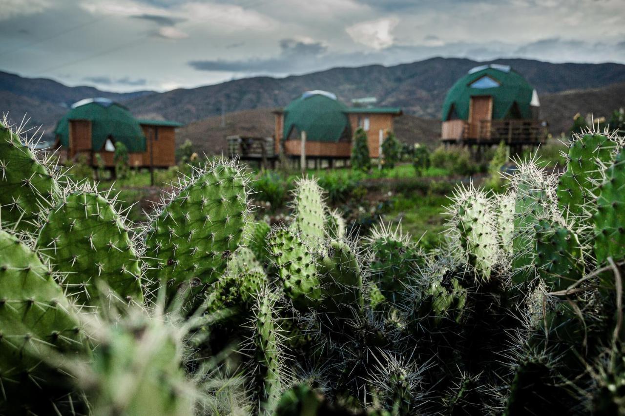 Los Nopales Glamping Sáchica Exterior foto