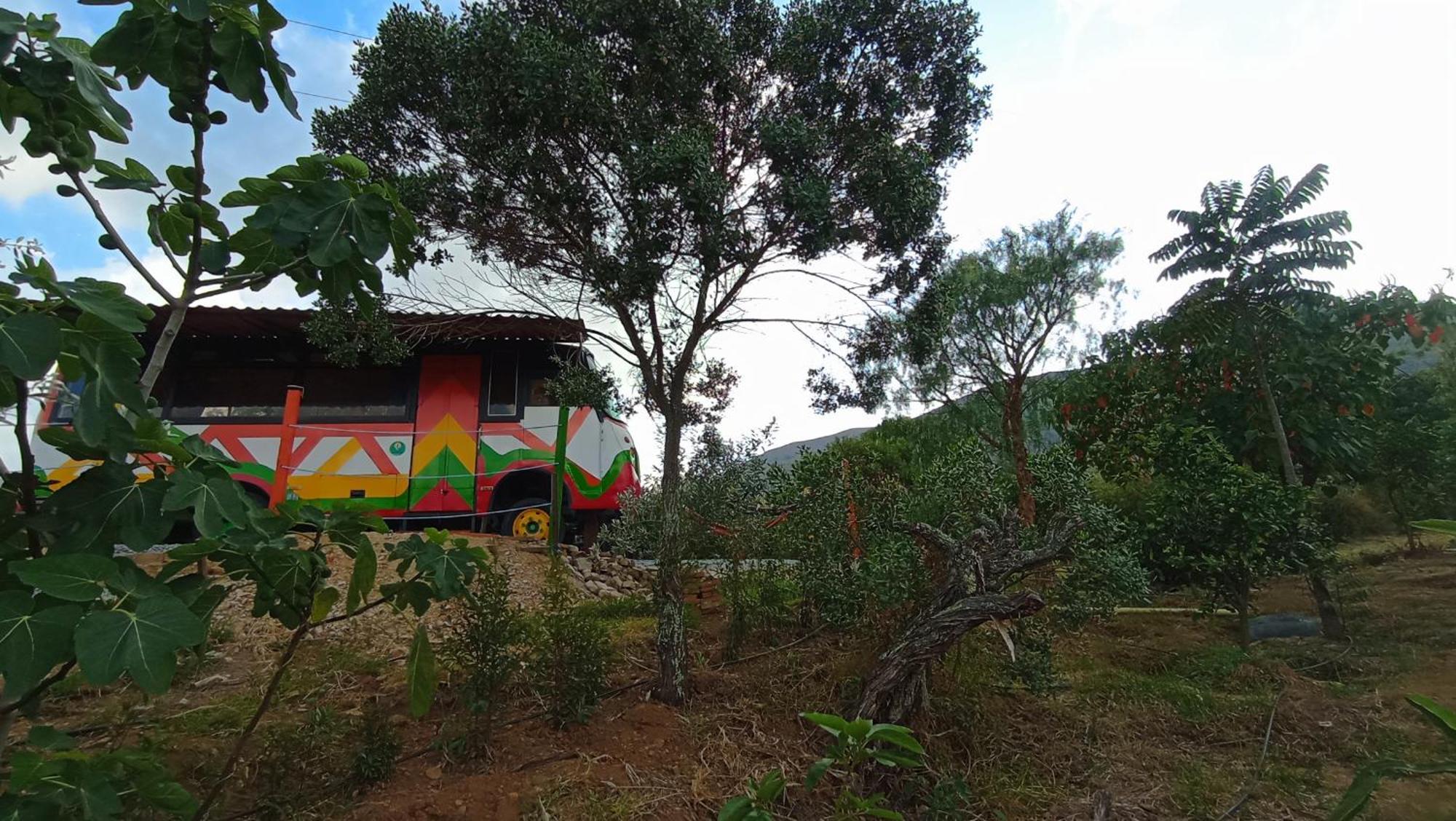 Los Nopales Glamping Sáchica Exterior foto